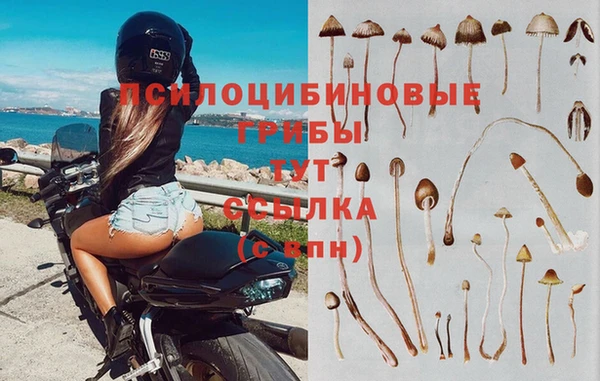 бутират Алексеевка