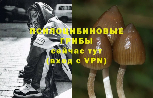 бошки Алексин