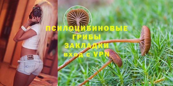бутират Алексеевка