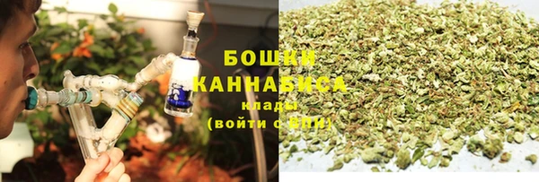 бошки Алексин